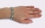 23632028.jpg