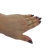 DSCF9621-r.jpg