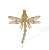 DSCF4332-r.jpg