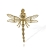 DSCF0237-r.jpg