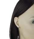 DSCF0634-r2.jpg