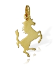 DSCF2083-r.jpg
