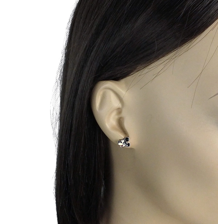 DSCF5109-rs.jpg