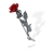 DSCF5446-r.jpg