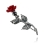 DSCF5447-r.jpg
