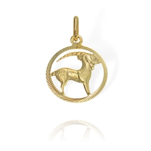 Złoty Diamentowany Wisiorek Znak Zodiaku Koziorożec - Pr. 585