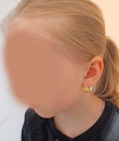 43183705.jpg