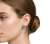 nano-banana-1771344772656-removebg.png